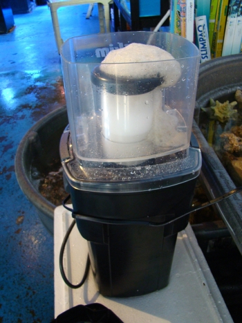 Foam beginning to spill over into collection cup